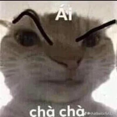 Mua acc 300k có shot 2 mp 2 tốc