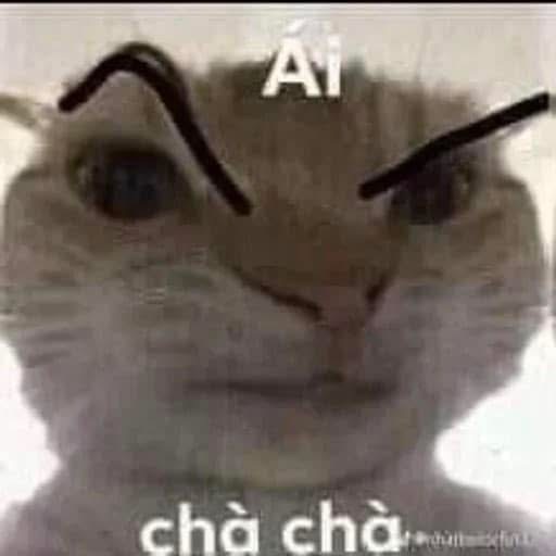 Selected Image