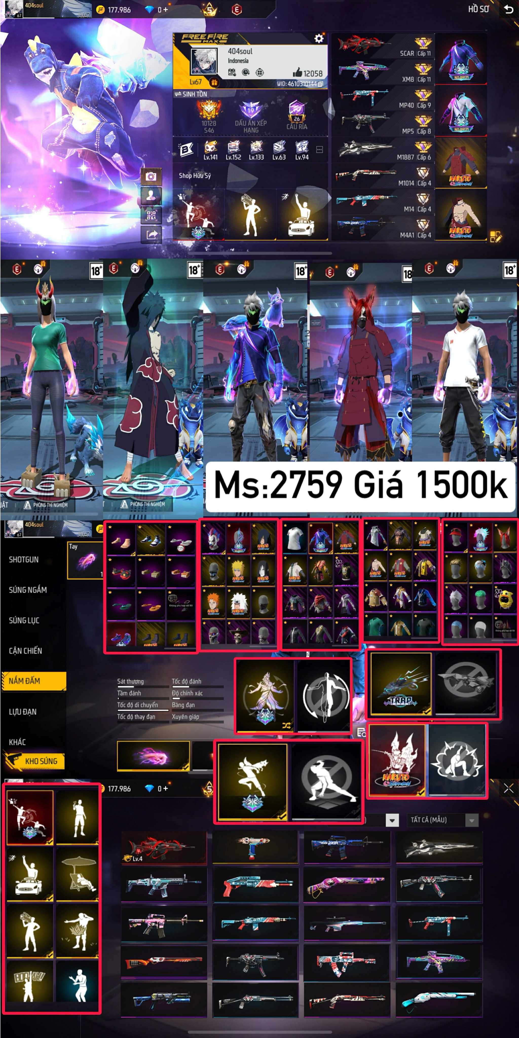 Selected Image
