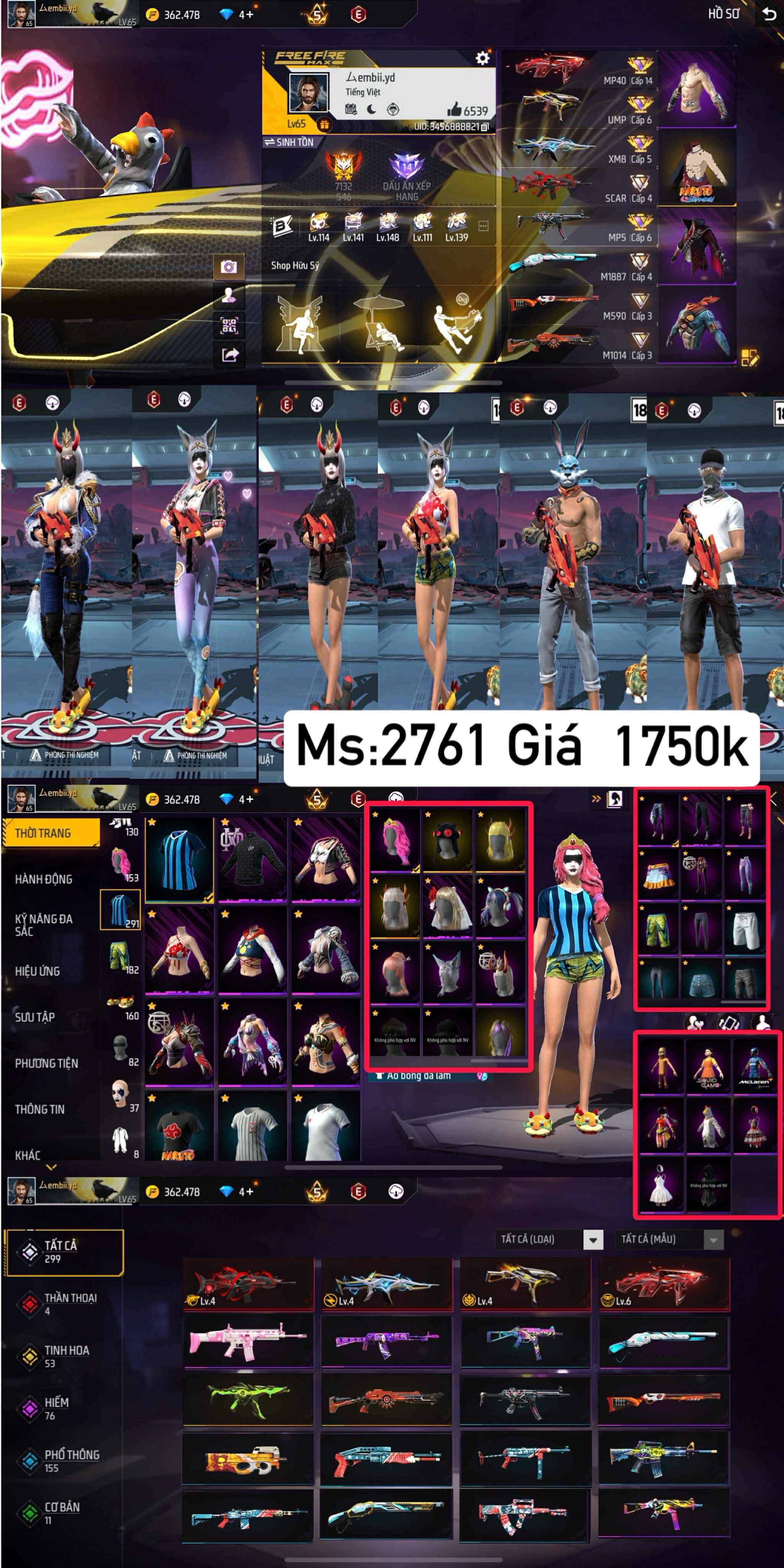 Selected Image